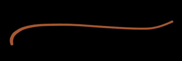 decorative line